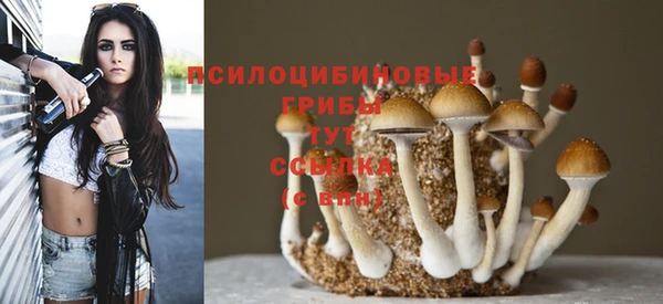 дмт Алексеевка