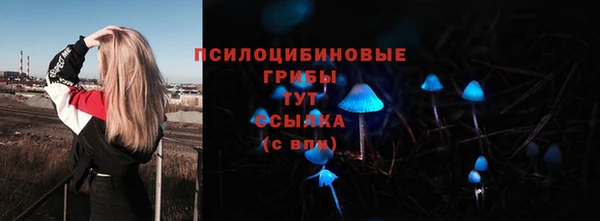 дмт Алексеевка