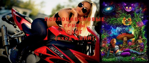 дмт Алексеевка