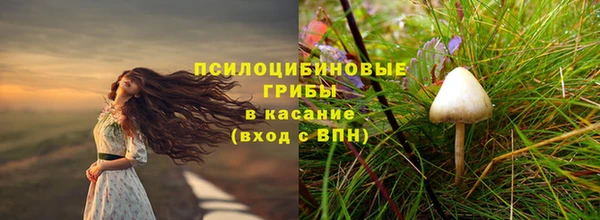дмт Алексеевка
