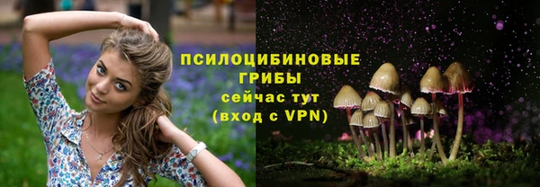 соль курить ск Алексин