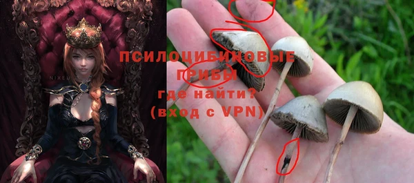 дмт Алексеевка