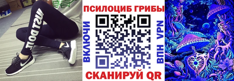 Галлюциногенные грибы Psilocybe  Лабинск 